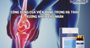 Viên uống xương khớp Bảo Nhân Đông Trùng Hạ Thảo Thiên Phúc - sản phẩm tăng cường sức khỏe dành cho mọi người