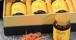 Mua đông trùng hạ thảo nguyên con Thiên Phúc tại HCM